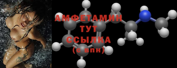 индика Иннополис