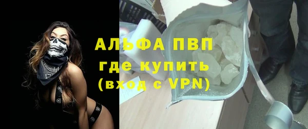 индика Иннополис