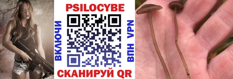 Купить где  Нерехта  Галлюциногенные грибы ЛСД 