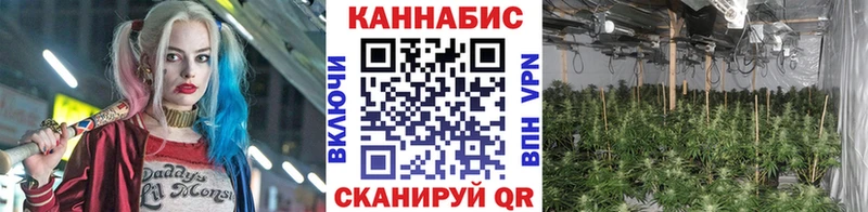 Марихуана конопля Купить закладки Нерехта